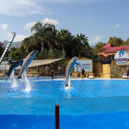 Minerva Paradise Benalmádena Dış mekan fotoğraf